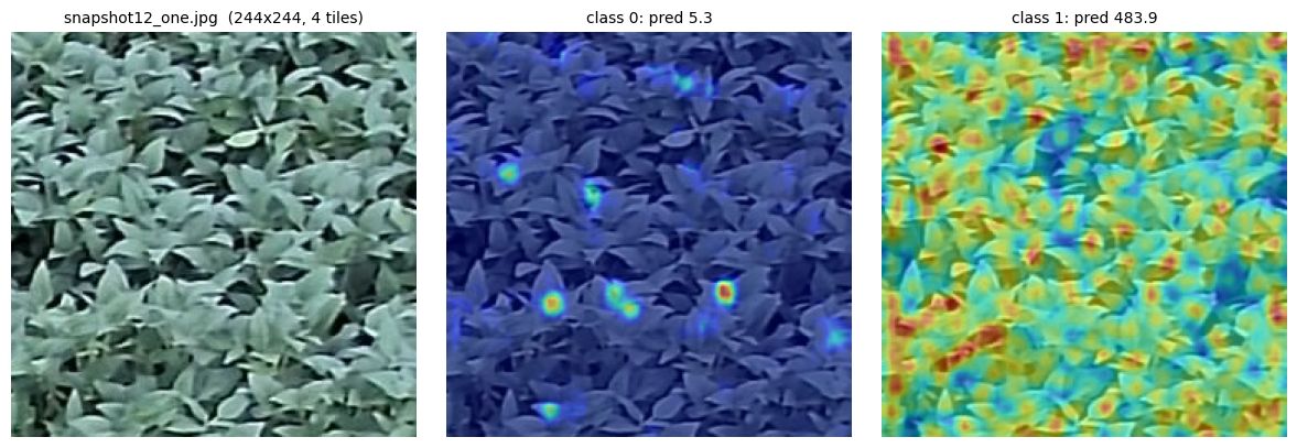 Closed canopy and model density response